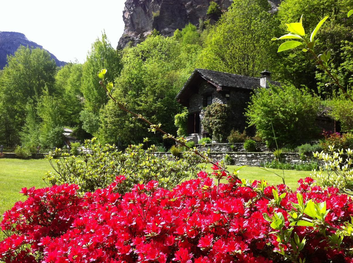 Vila Chalet La Baita Baceno Exteriér fotografie